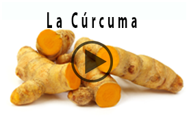 curcuma