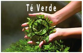 teverde