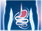 Estomagoprobiotic