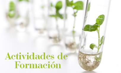 Actividades de formación