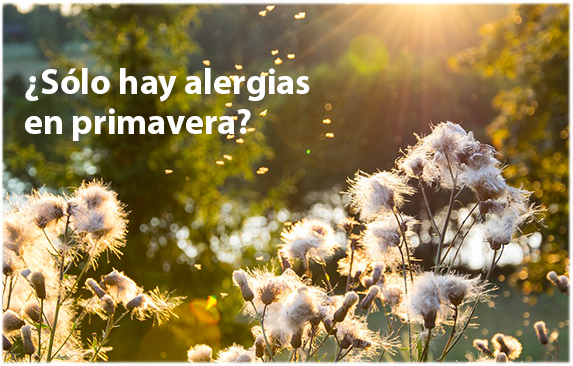 Lleganlasalergiasoyaestabanahí