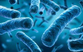 microbioma