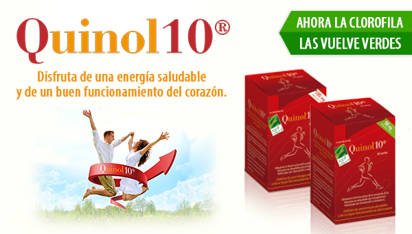 Cabecera Quinol10