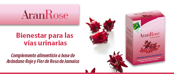 aranrose cabecera