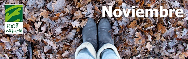 Noviembre