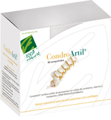 CondroArtil