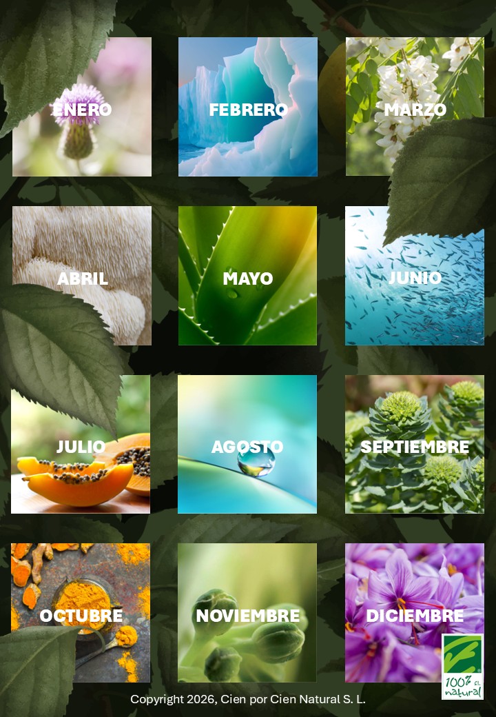 12 meses con Salud - Cien por Cien Natural