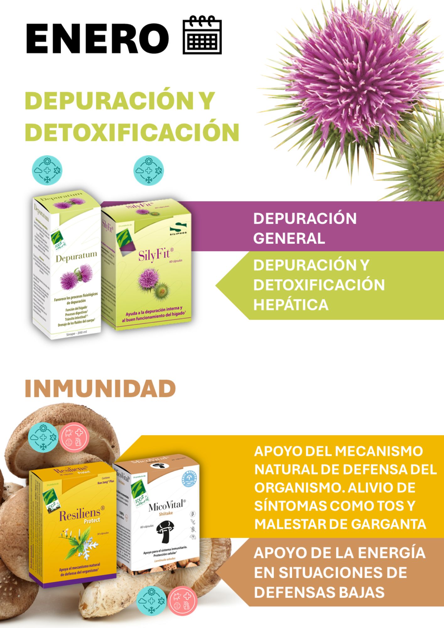 Enero - 12 meses con Salud