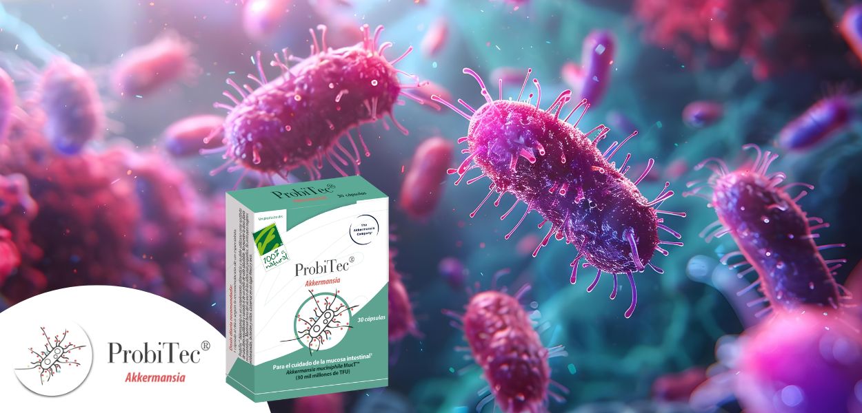 ProbiTec® Akkermansia. ¡Nuevo producto!