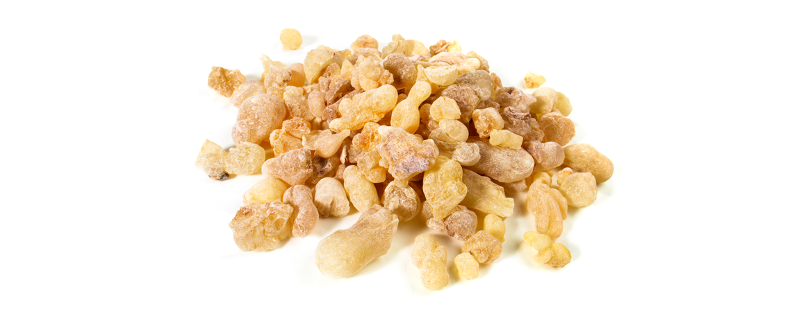 Boswellia Serrata planta tradicional con actuales evidencias en salud osteoarticular