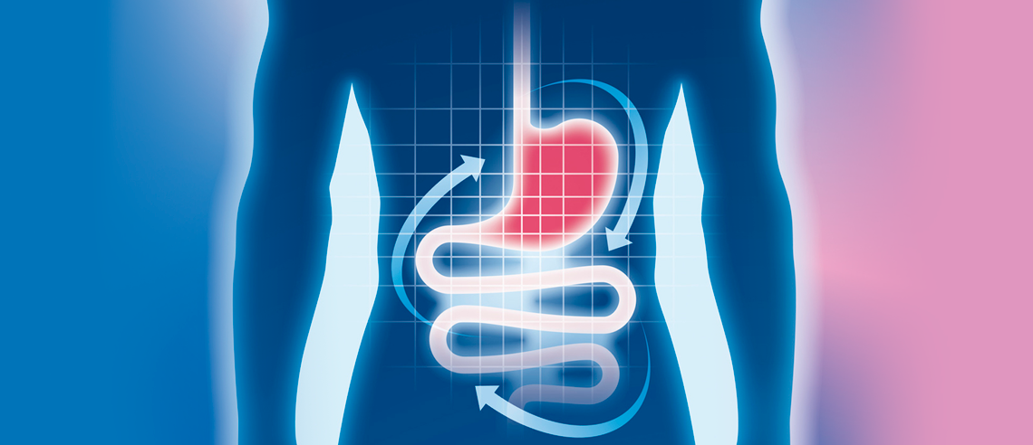 Permeabilidad Intestinal