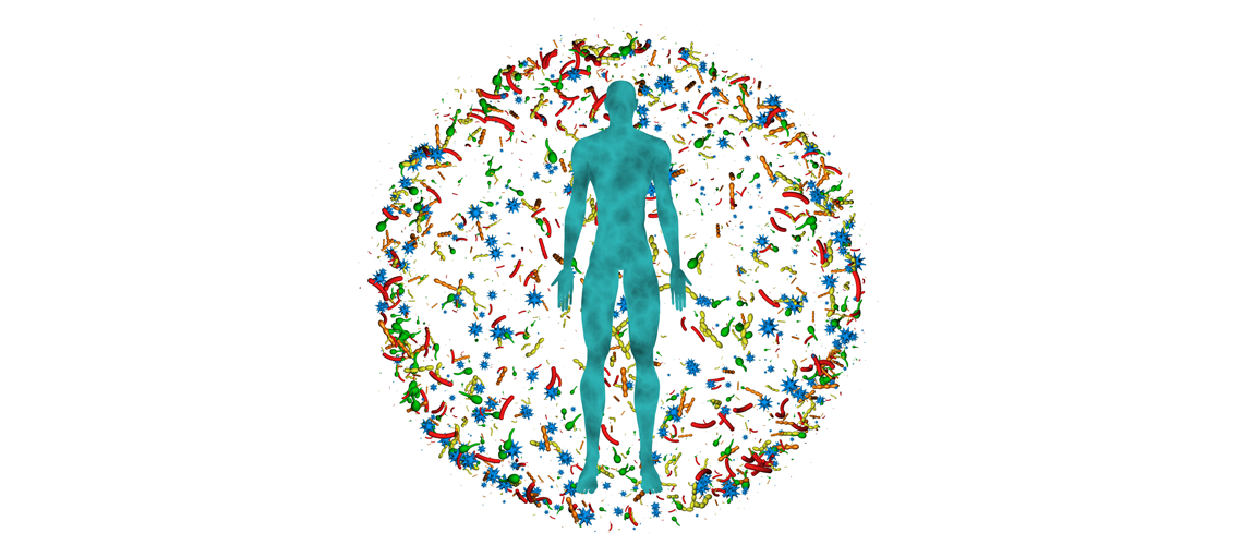 Relación entre la microbiota intestinal y el sistema inmunitario