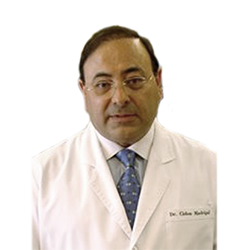 Dr. José Luis Cidón Madrigal
