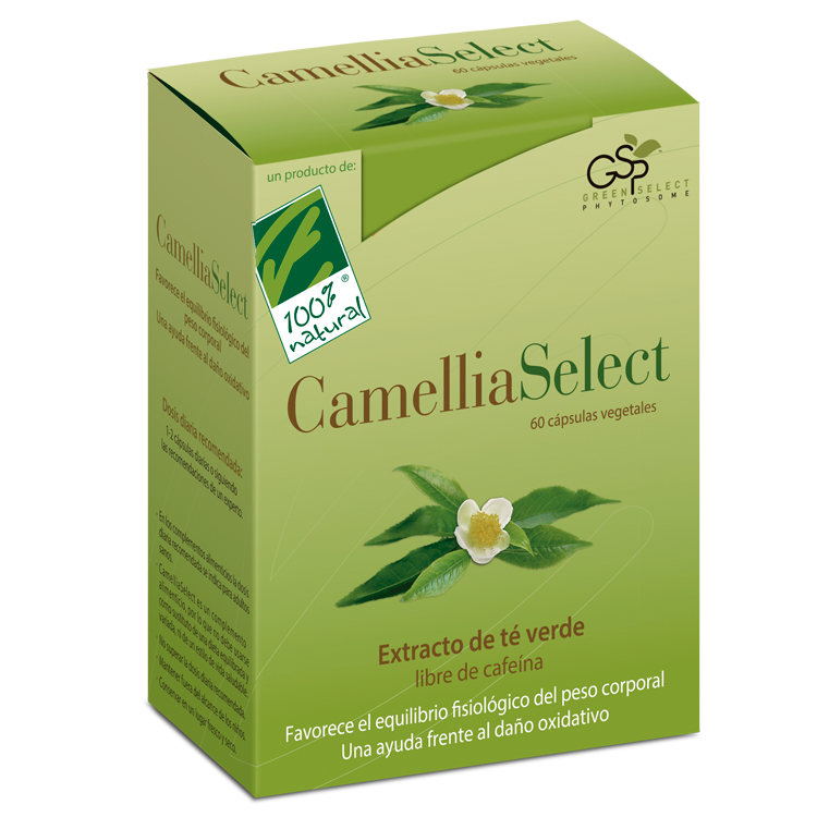 productos de catequina la próstata verde productos de catequina la próstata verde