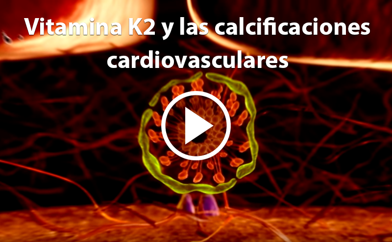 Vitamina K2 y las calcificaciones cariovasculares