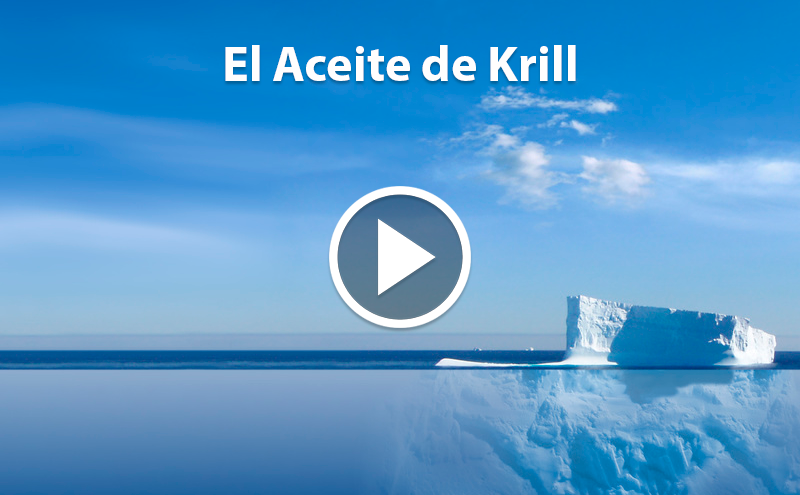 ¿Conoces el Aceite de Krill?