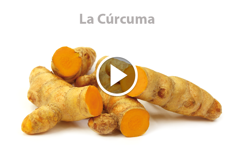 ¿Conoces la Cúrcuma?