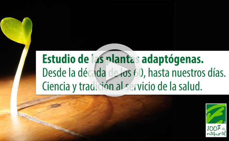 Estudio de las plantas adaptógenas