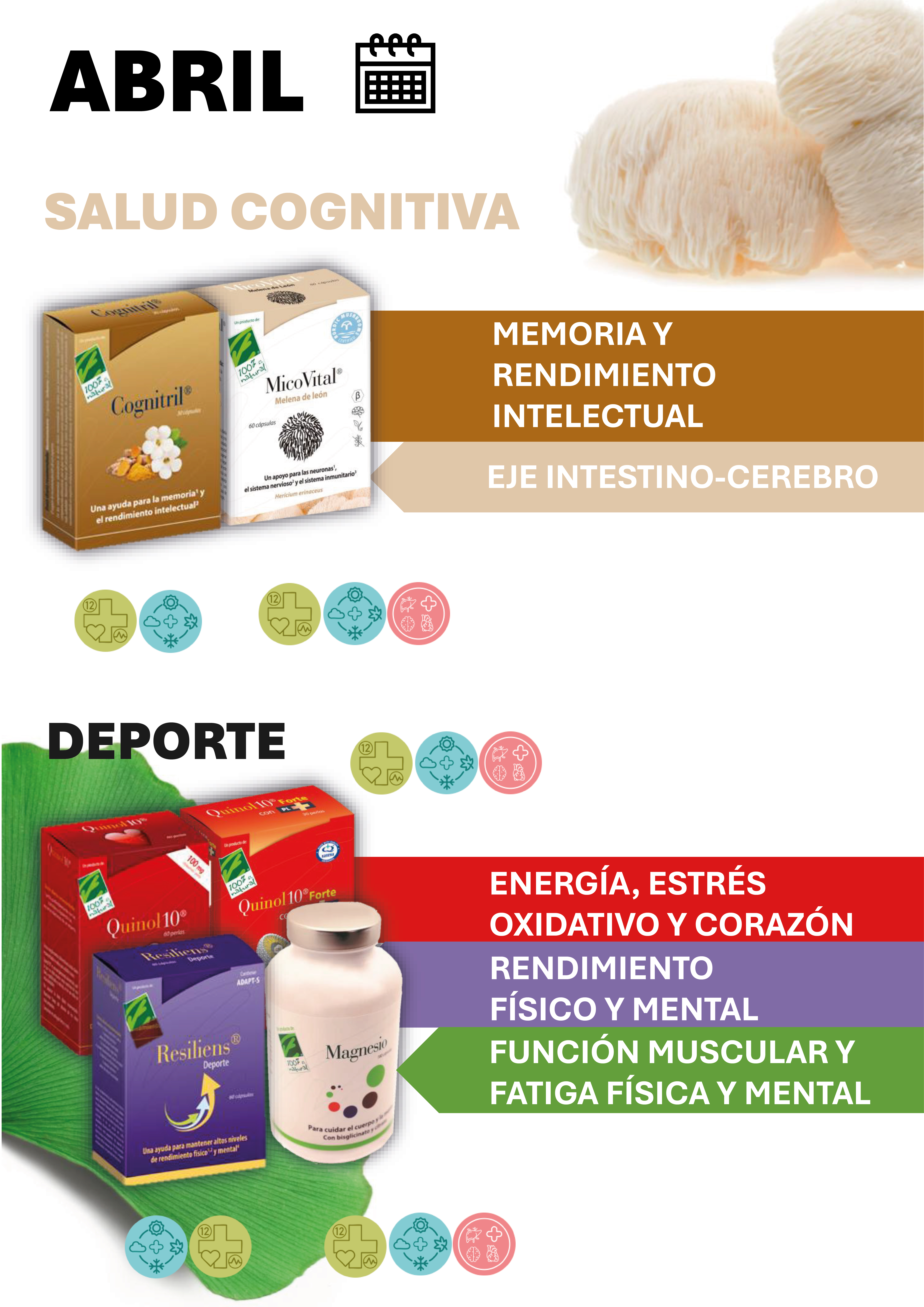 Abril - 12 meses con Salud
