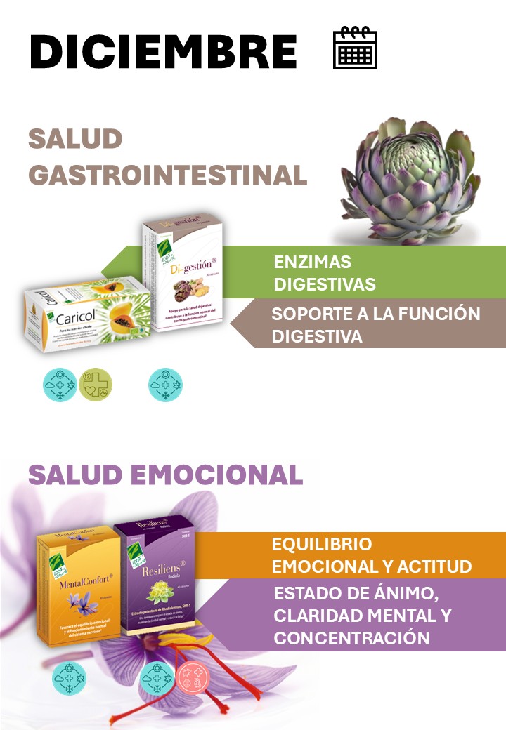 Diciembre - 12 meses con Salud