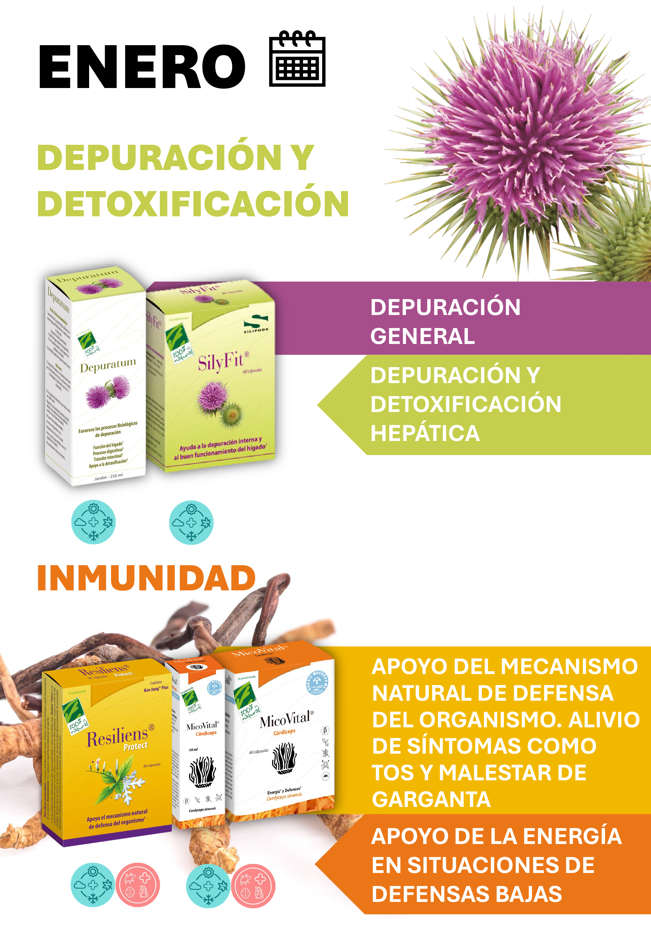 Enero - 12 meses con Salud