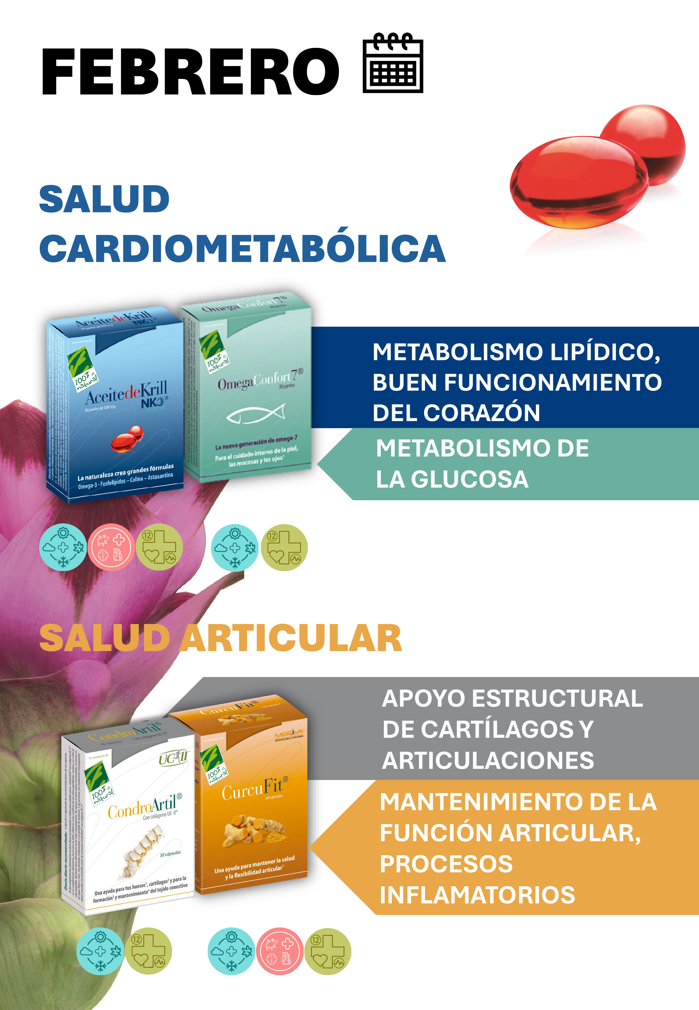 Febrero - 12 meses con Salud