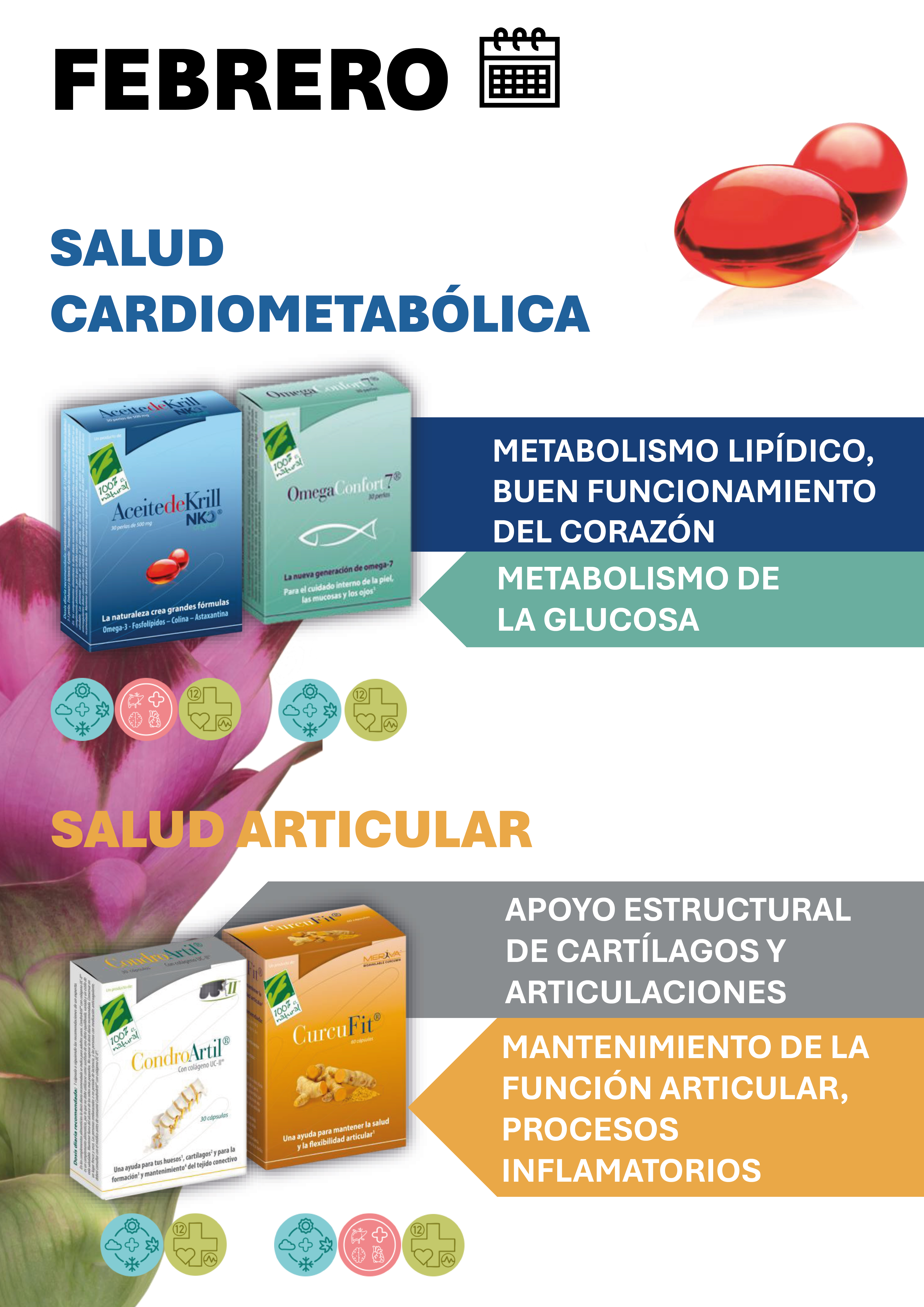 Febrero - 12 meses con Salud