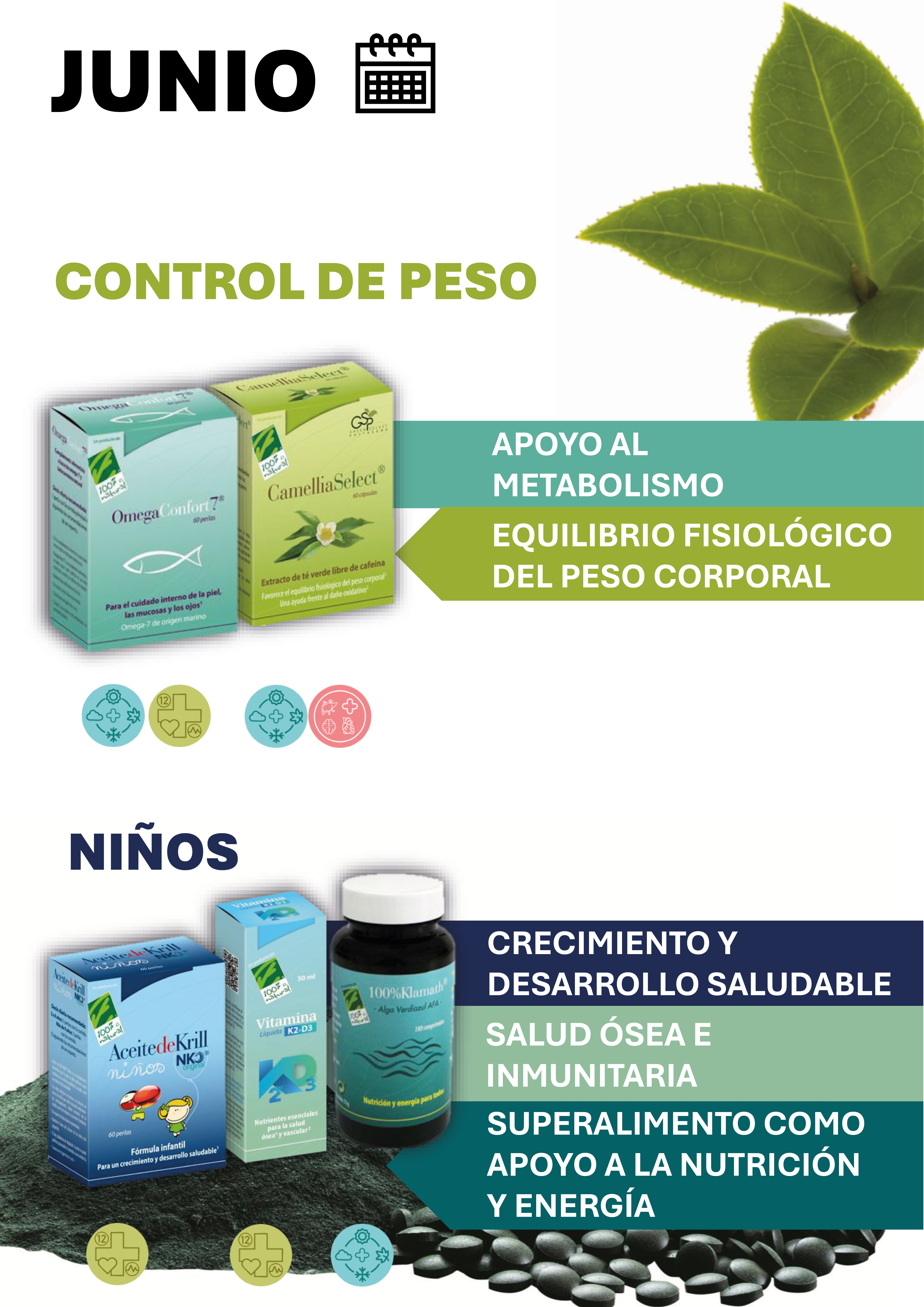 Junio - 12 meses con Salud