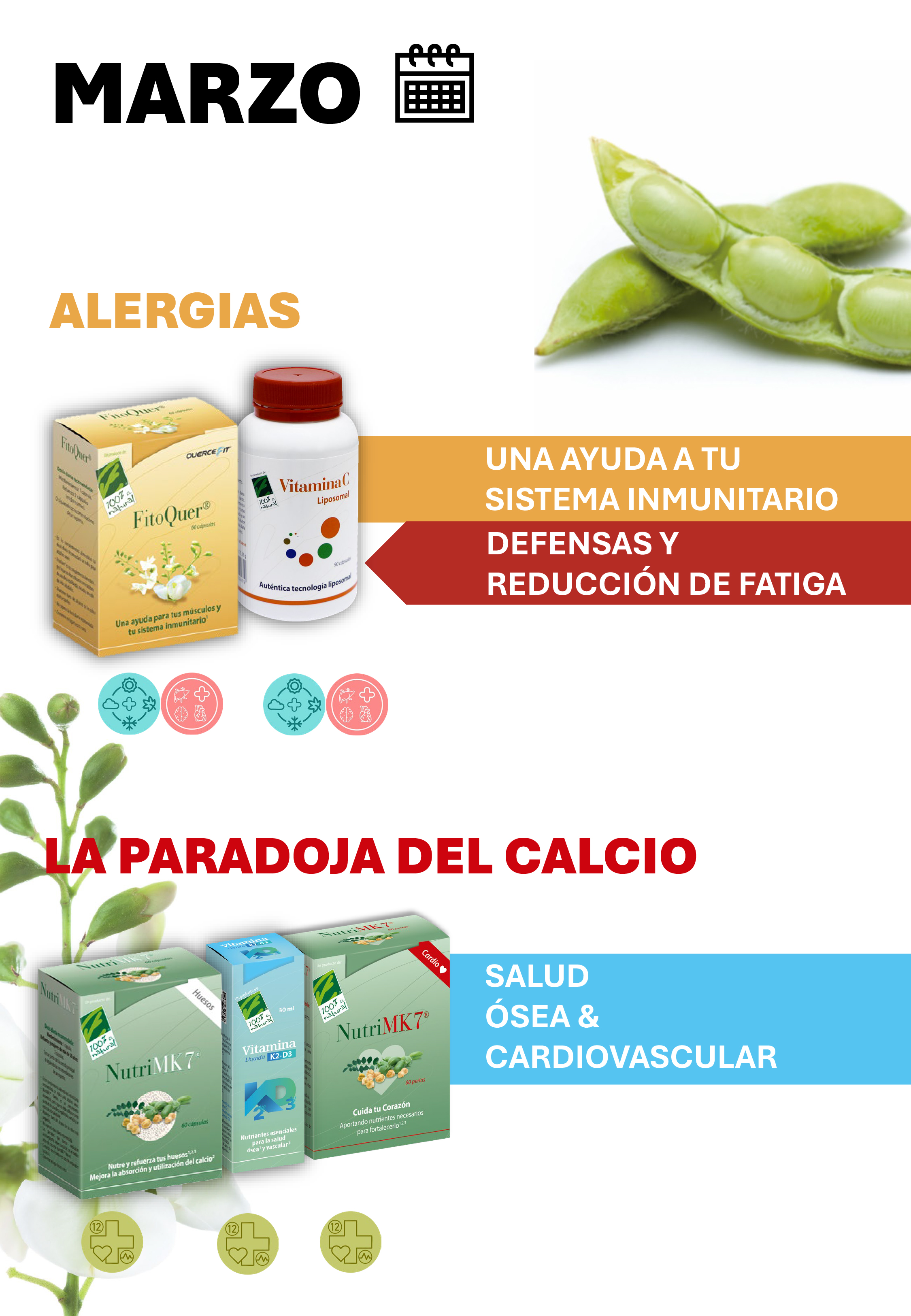 Marzo - 12 meses con Salud