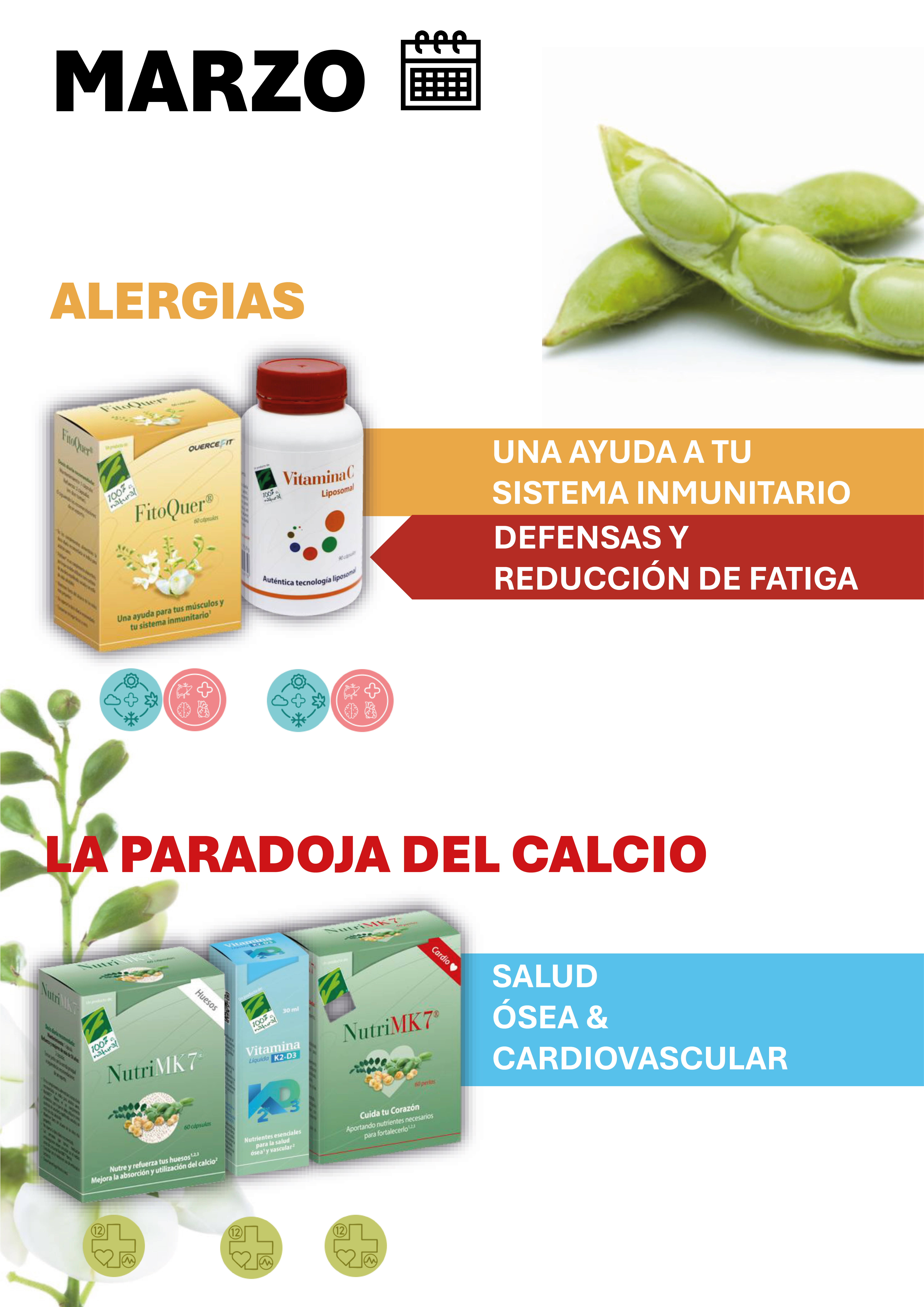 Marzo - 12 meses con Salud