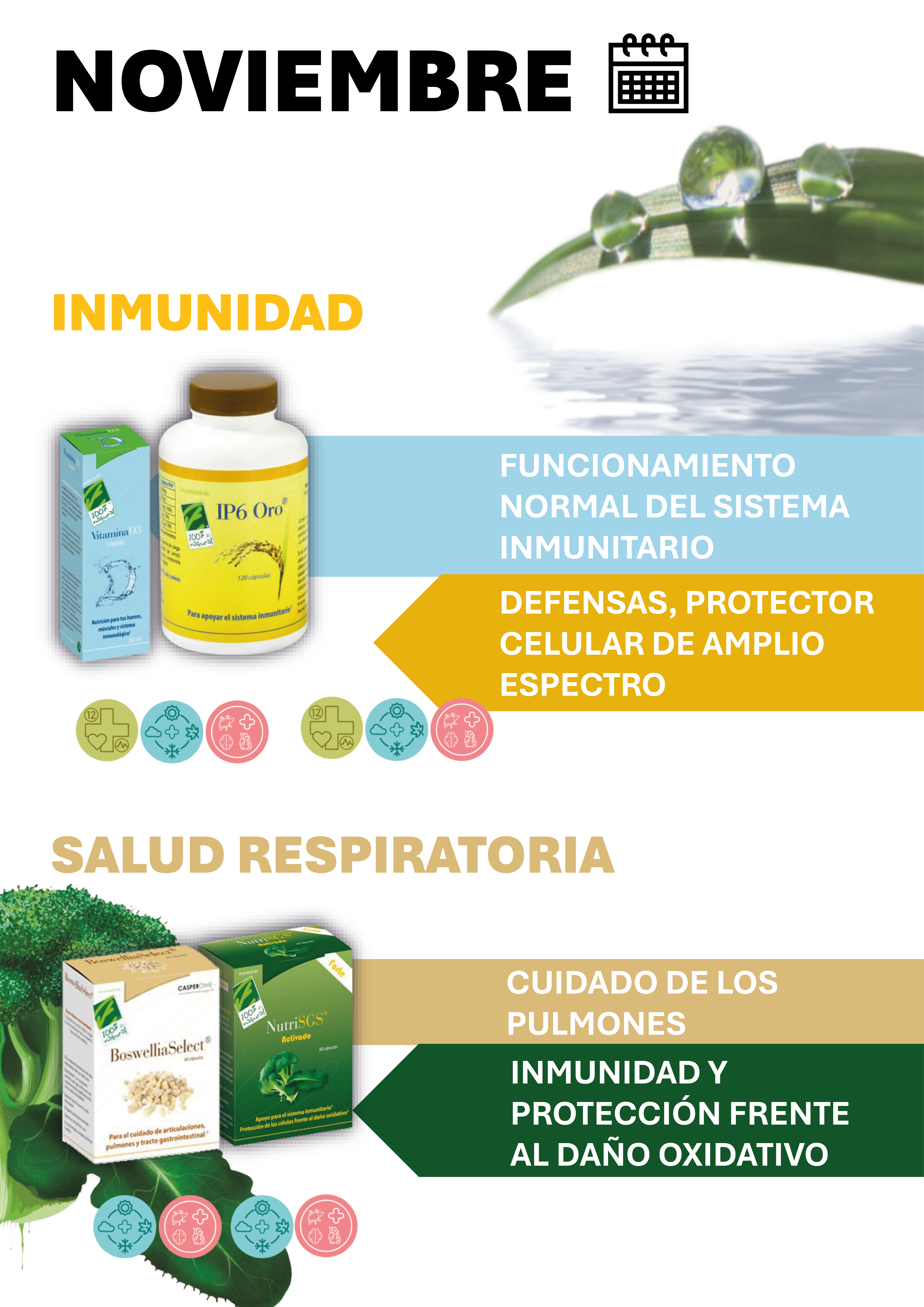 Noviembre - 12 meses con Salud