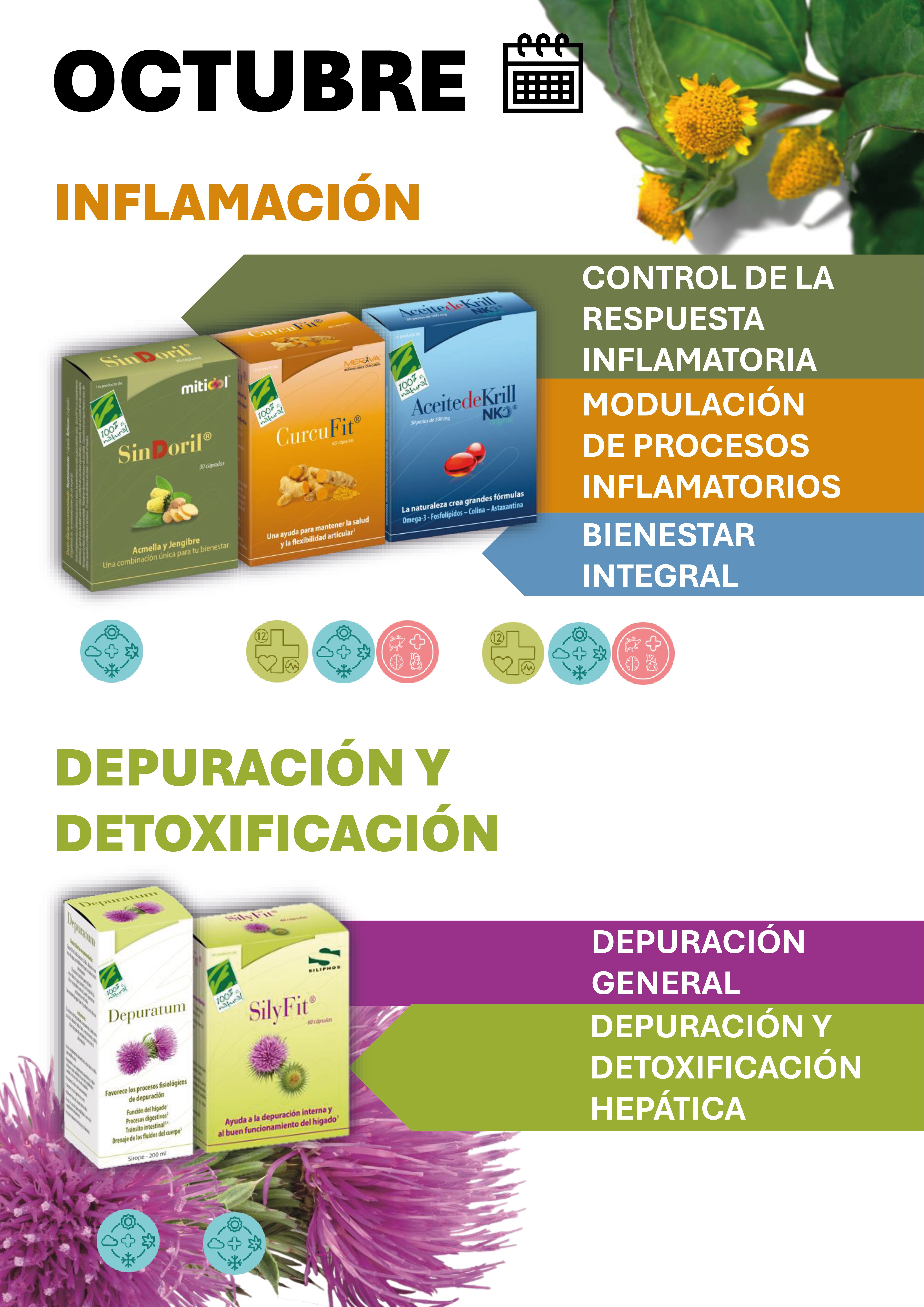 Octubre - 12 meses con Salud