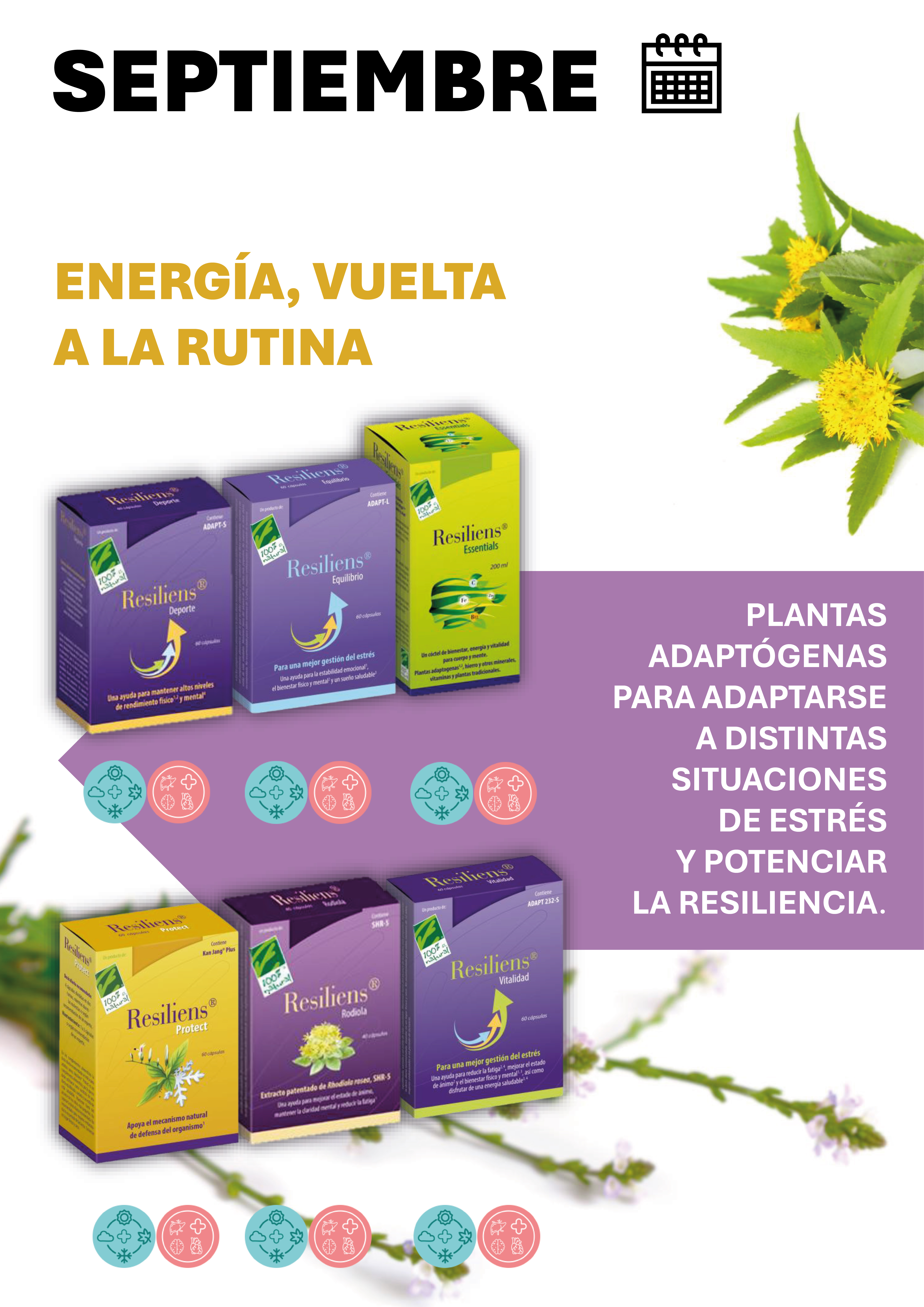 Septiembre - 12 meses con Salud